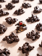 Fruit n Nut Clusters